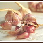 Garlic – Spice Or Medicine!?
