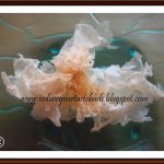 Recipes with Yiner – Chinese Ingredient # 2