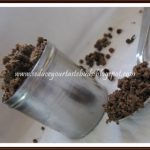 Manathakkaali Vartal podi | Blacknightshade Dal Spice Mix