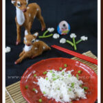 Congyou Bailuobosi | Chinese Raw Radish Threads with Scallion Oil