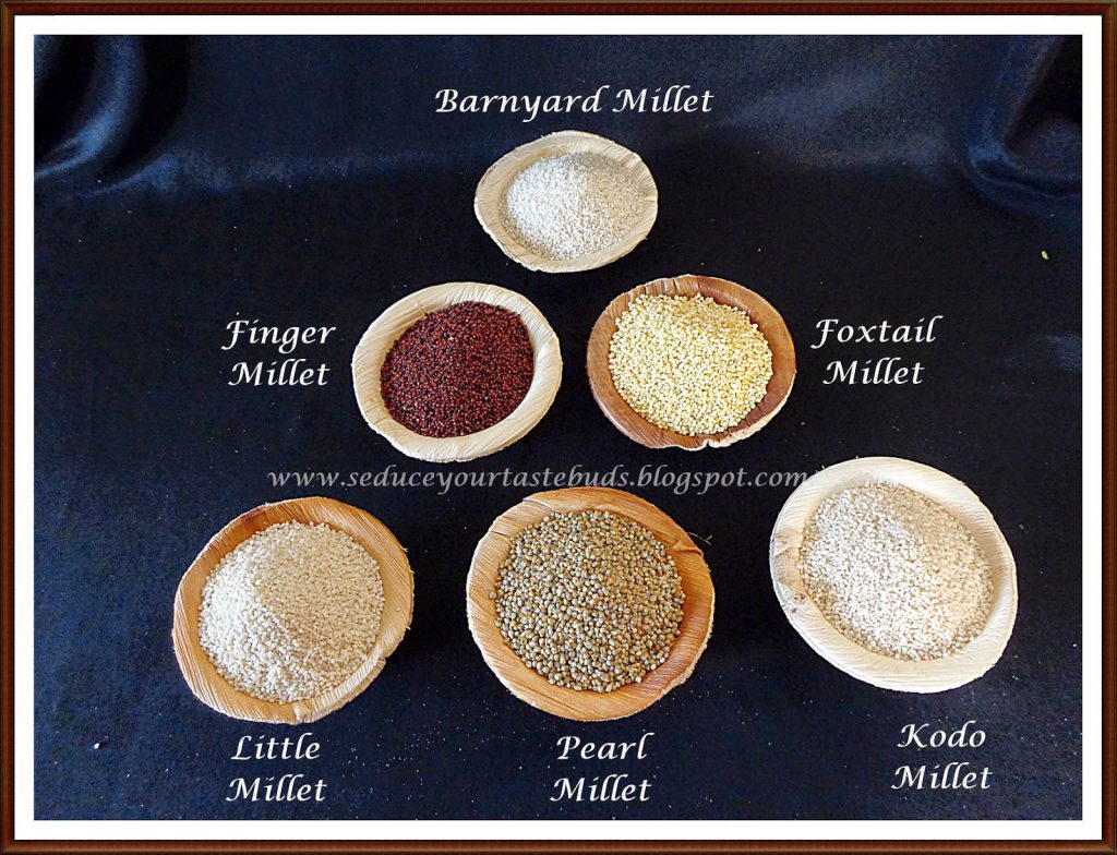 Barnyard Millet | Kuthiraivali Sadham and All About ...
