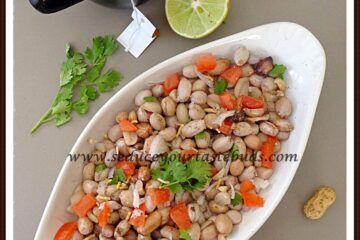 Peanut Chaat | Healthy Snack Recipe