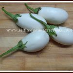 Recipes with Brinjal / Aubergine / Eggplant Recipes