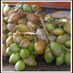 Recipes with Tender Coconut Water