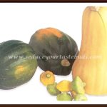 Recipes with Pumpkin