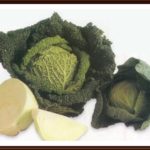 Recipes with Cabbage