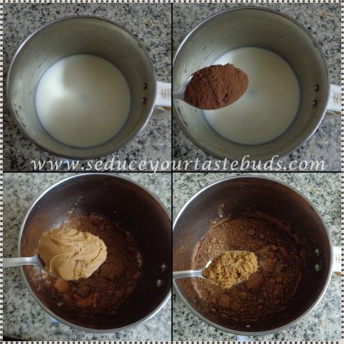 Vegan Chocolate Peanut-Butter Popsicle Recipe